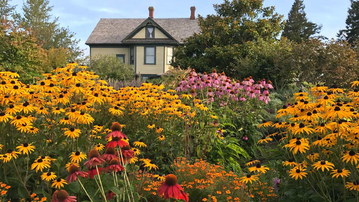 Fragrance Garden Flowers with Tennant Lake House