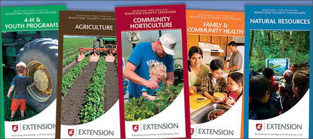 Rack Cards of different Extension Units