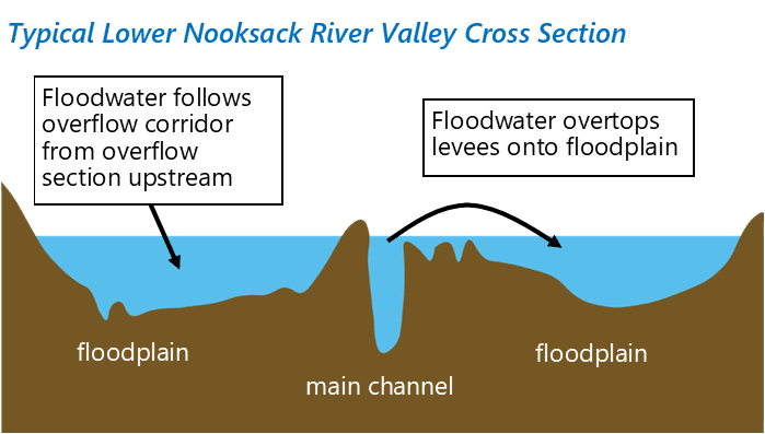 Nooksack floodplain cross section