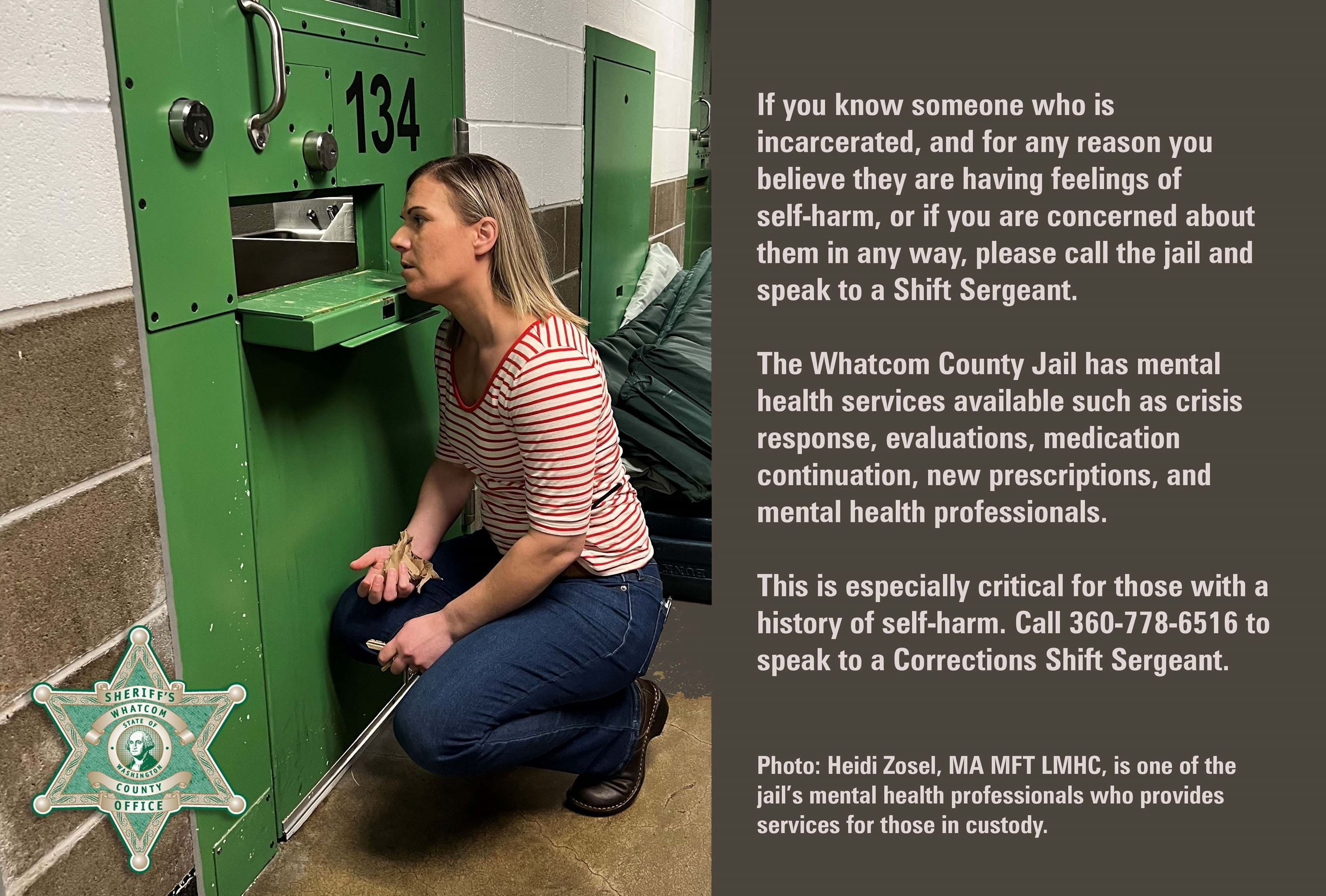 Mental health services available in the jail