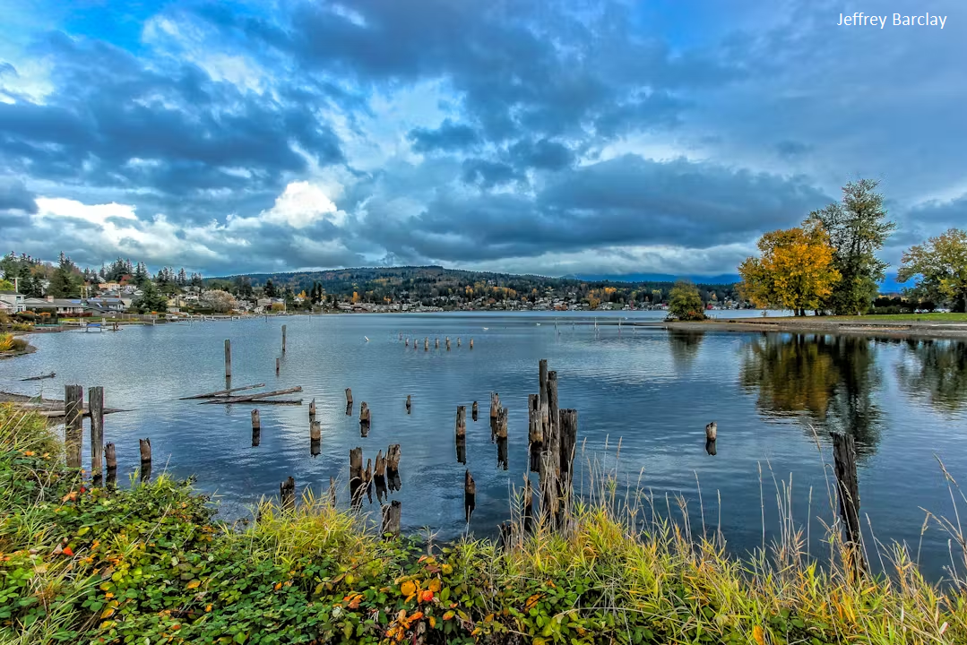 A lake surrounded by homes and trees changing color