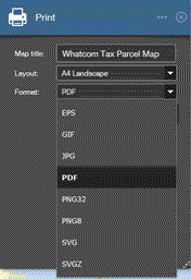 Print format Options