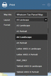 Print Layout Options