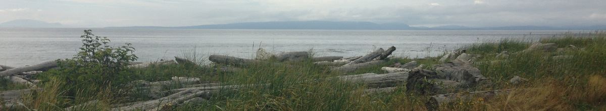 Camp-Lighthouse Opens in new window